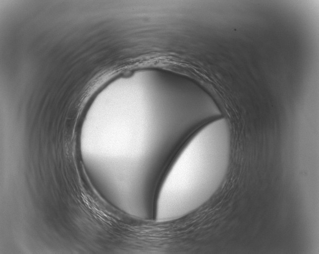 X0000086300100200703300939