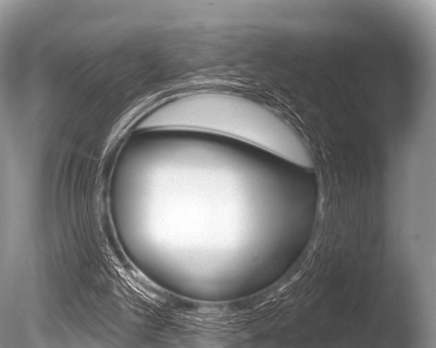 X0000086300101200703300939