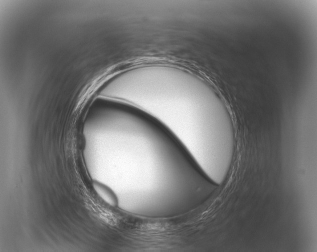 X0000086300103200703300939