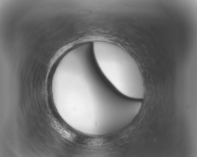 X0000086300104200703300939
