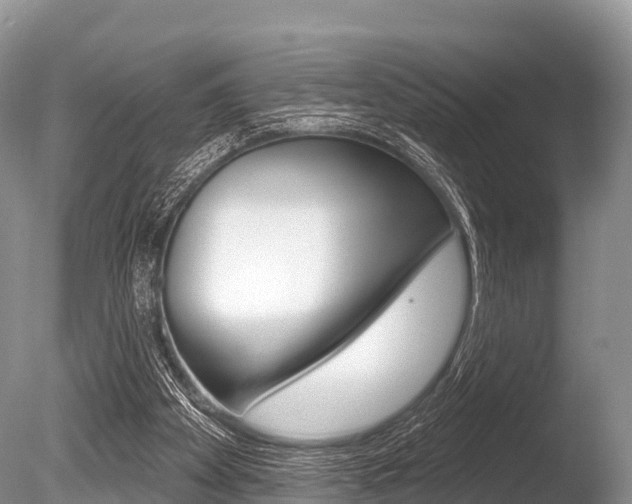 X0000086300105200703300939