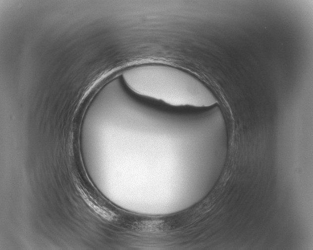 X0000086300108200703300939