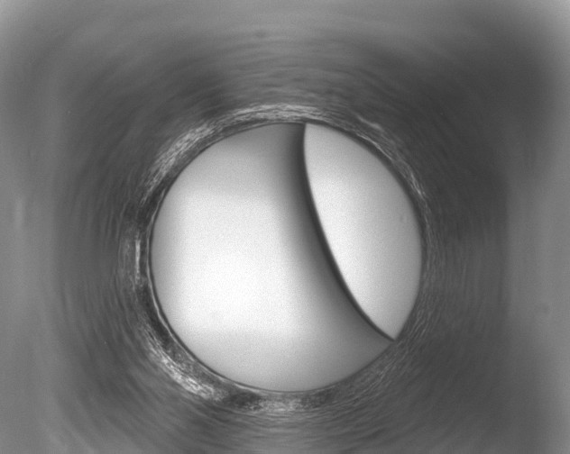 X0000086300110200703300939