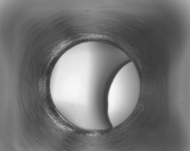 X0000086300112200703300939