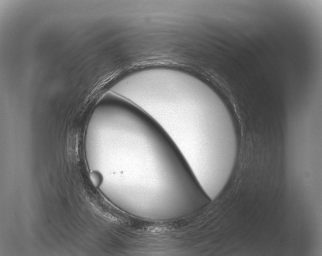 X0000086300115200703300939