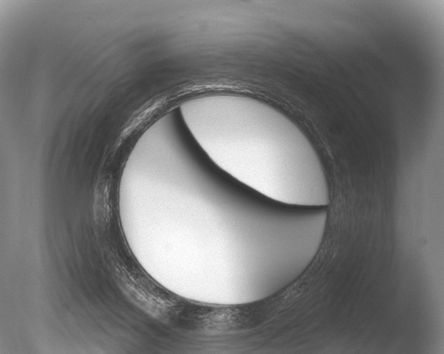 X0000086300116200703300939