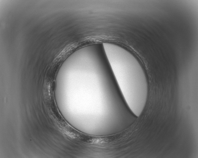 X0000086300117200703300939