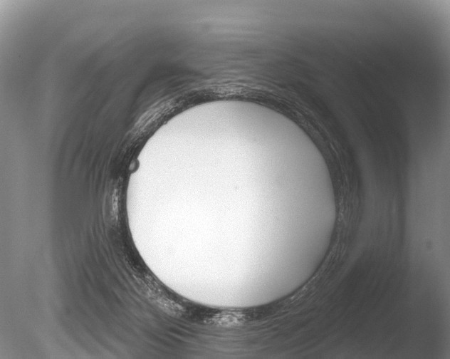 X0000086300124200703300939