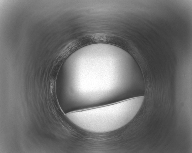 X0000086300125200703300939