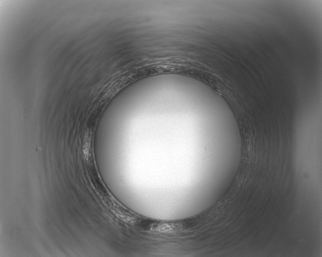 X0000086300129200703300938