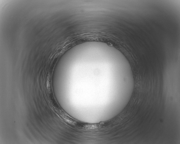 X0000086300131200703300938