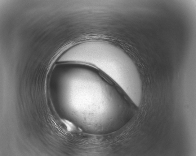 X0000086300148200703300937