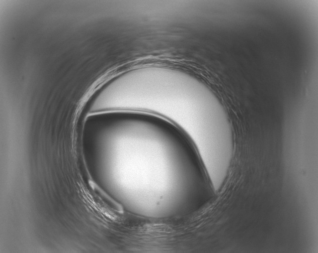X0000086300150200703300937