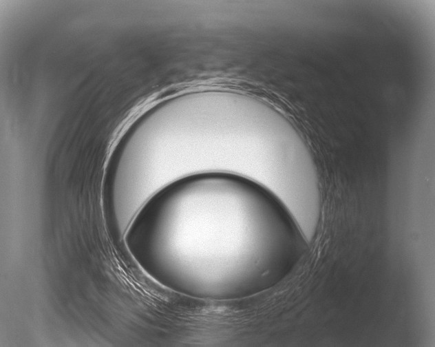 X0000086300152200703300938