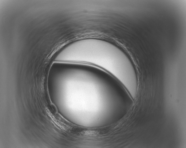X0000086300154200703300938
