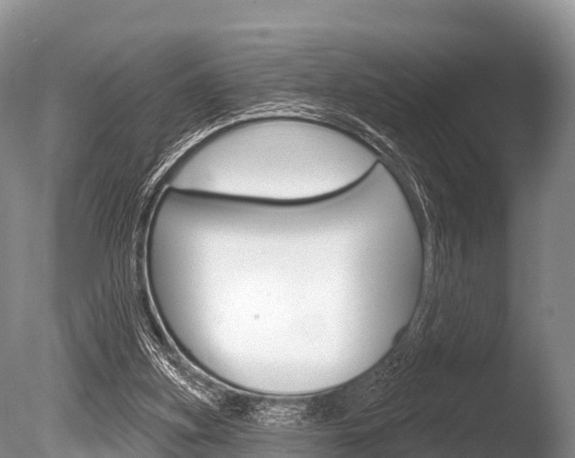 X0000086300155200703300938