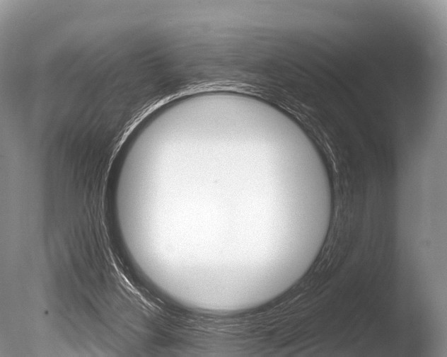 X0000086300156200703300938