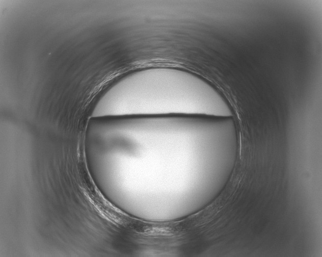 X0000086300157200703300938