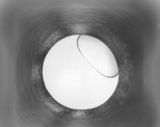 X0000086300162200703300938