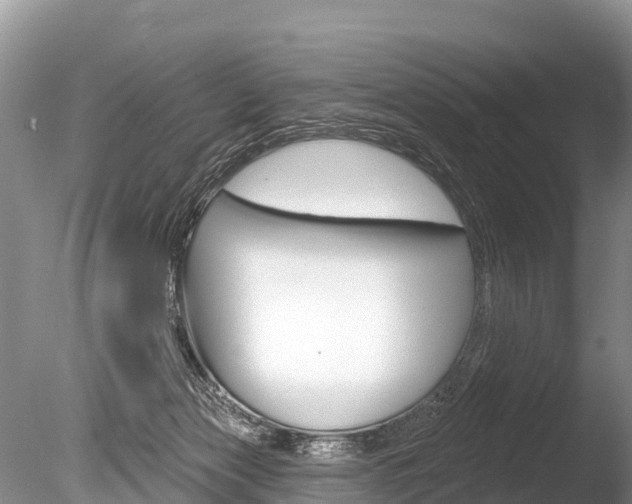X0000086300173200703300938
