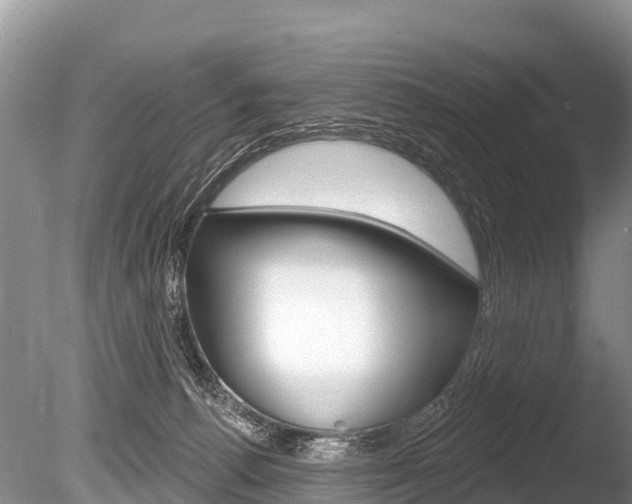 X0000086300176200703300938