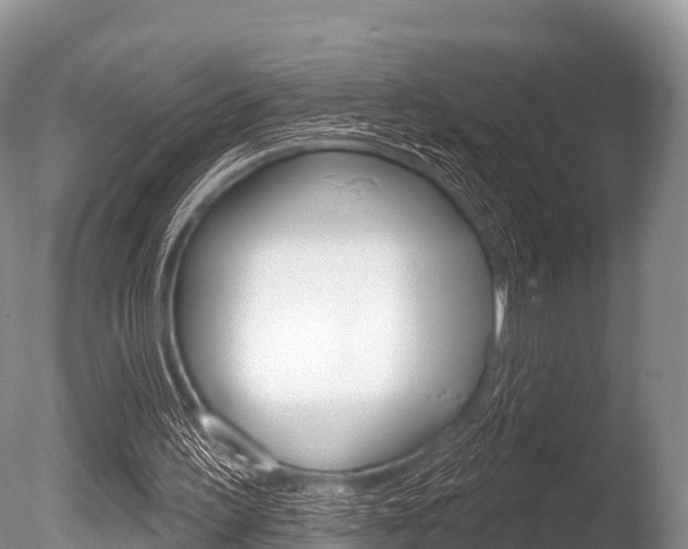 X0000086300195200703300937