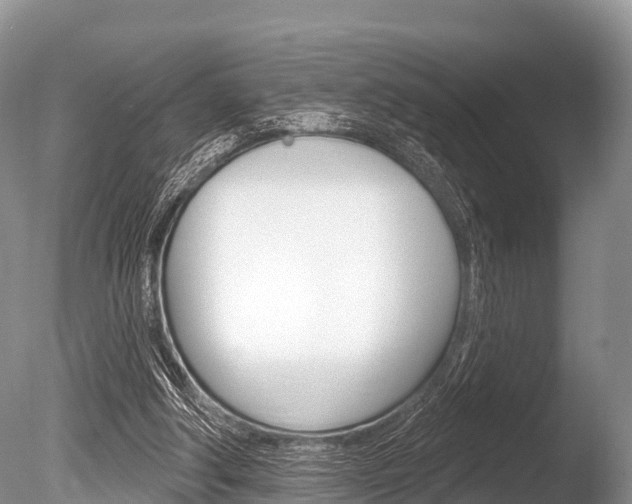X0000086300202200703300937