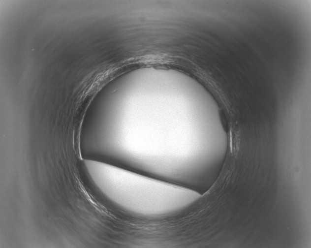X0000086300205200703300937