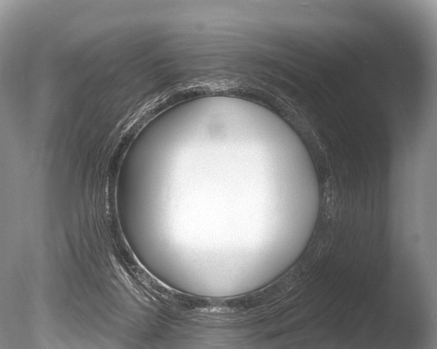 X0000086300212200703300937