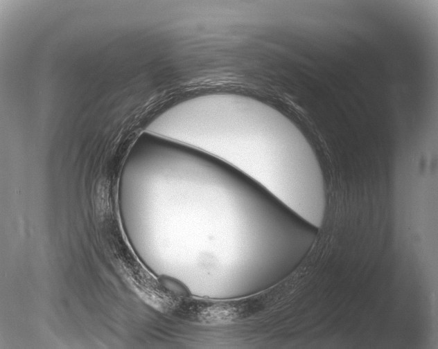 X0000086300213200703300937