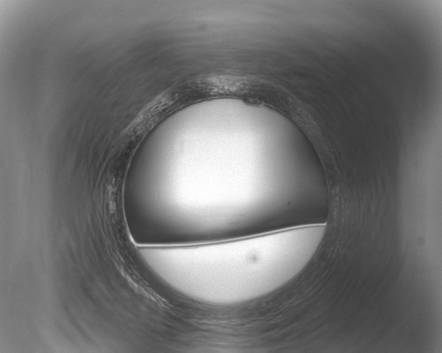 X0000086300215200703300937