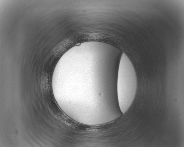 X0000086300220200703300937