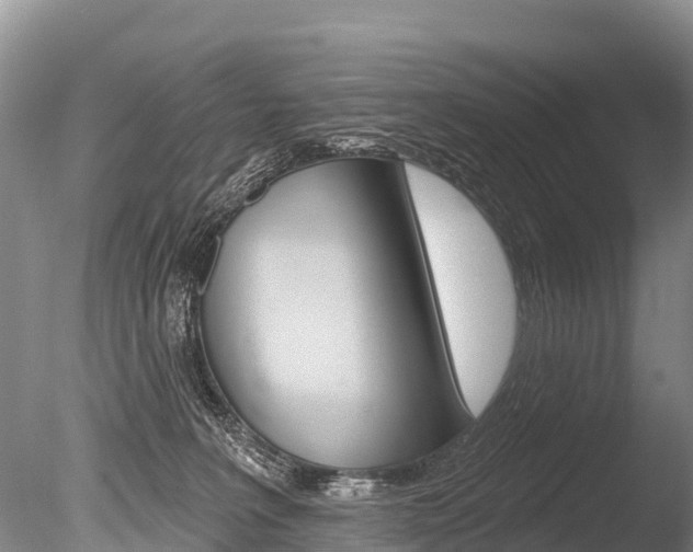 X0000086300227200703300937