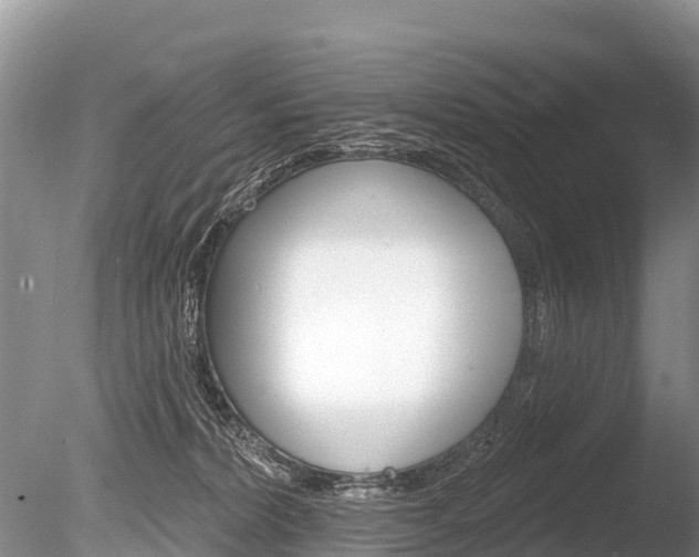 X0000086300228200703300937