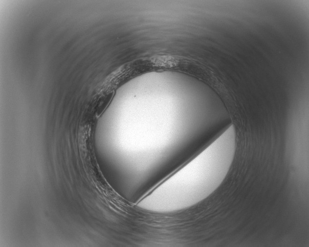 X0000086300229200703300937