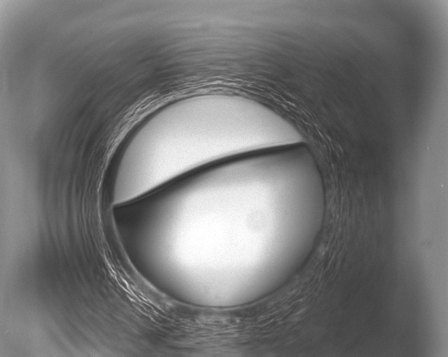X0000086300242200703300936