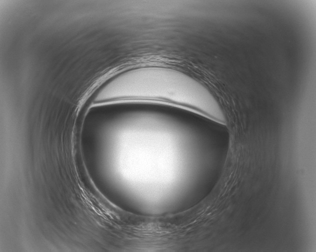 X0000086300244200703300936