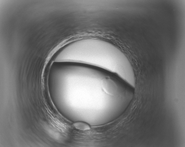 X0000086300246200703300936