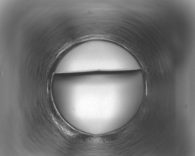 X0000086300253200703300936