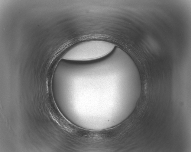 X0000086300254200703300936