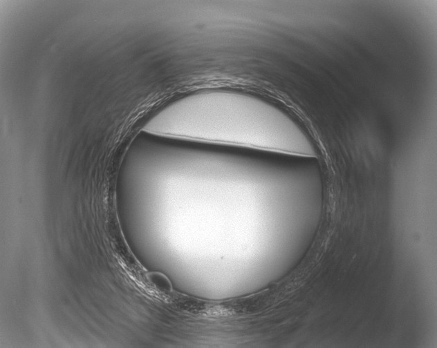 X0000086300257200703300936