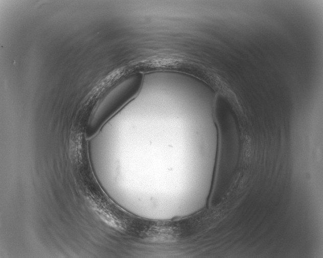 X0000086300260200703300936