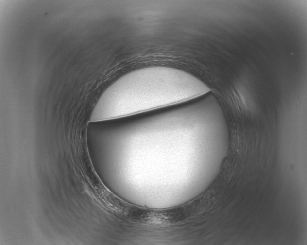 X0000086300263200703300936