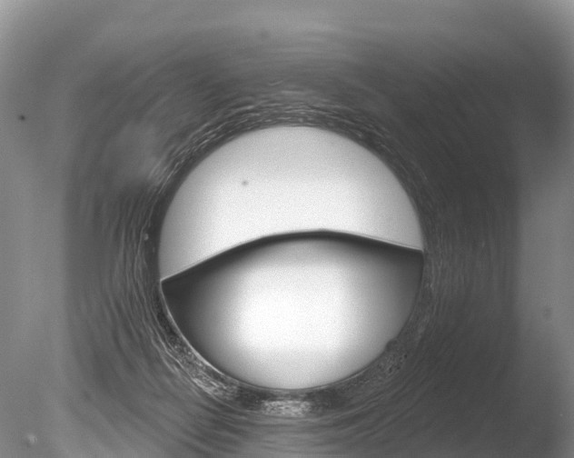 X0000086300266200703300936