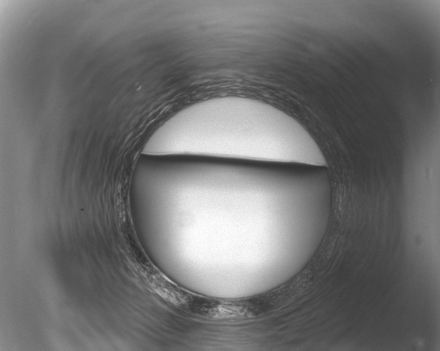 X0000086300270200703300936