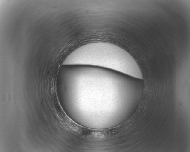 X0000086300272200703300936