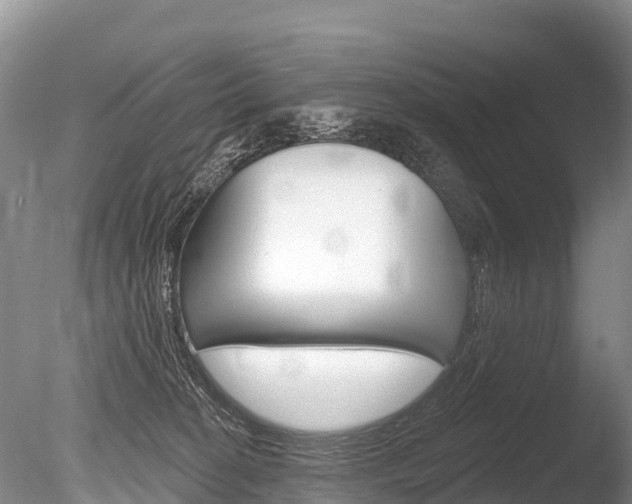 X0000086300274200703300936