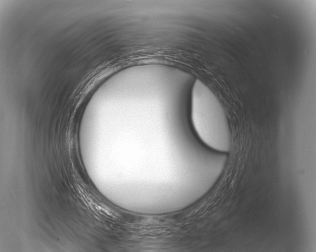 X0000086300290200703300936