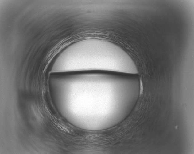 X0000086300291200703300936