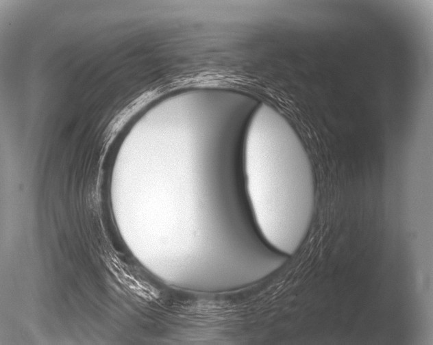 X0000086300292200703300936